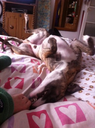 Jó reggelt! / Good morning! :)