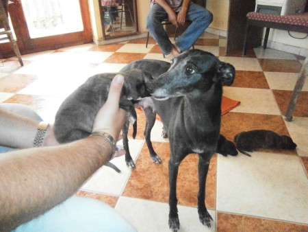 Dévaj Power Unique and Jackpot. :) <3